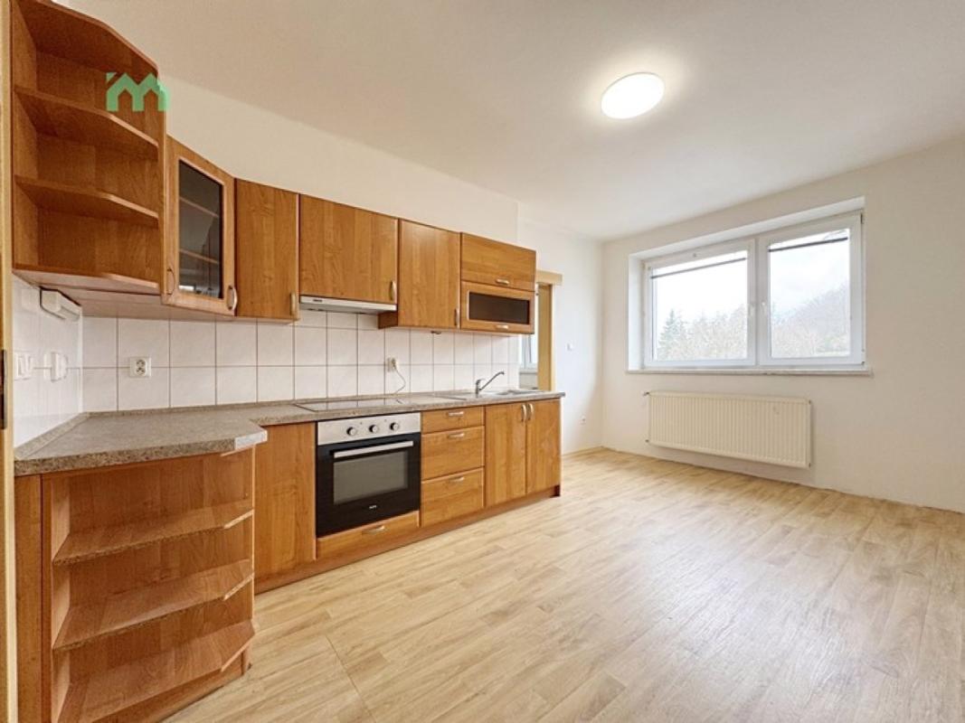 Pronájem bytu 2+1 60 m² — fotografie 7