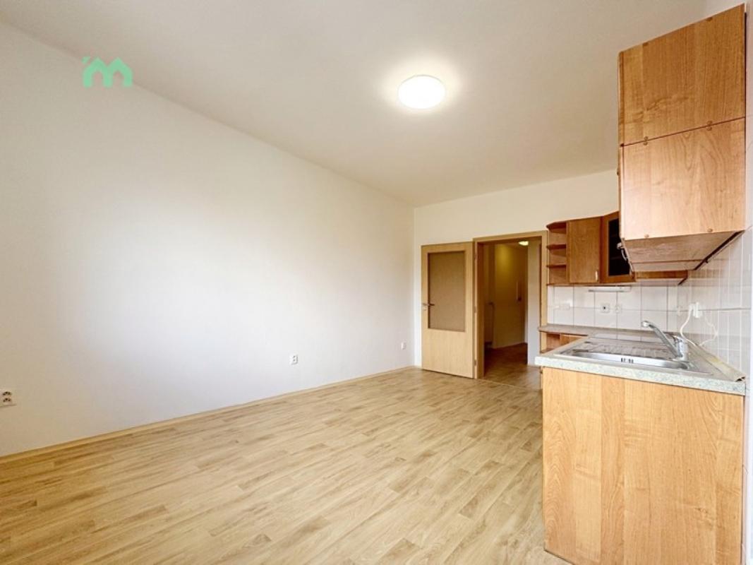 Pronájem bytu 2+1 60 m² — fotografie 11