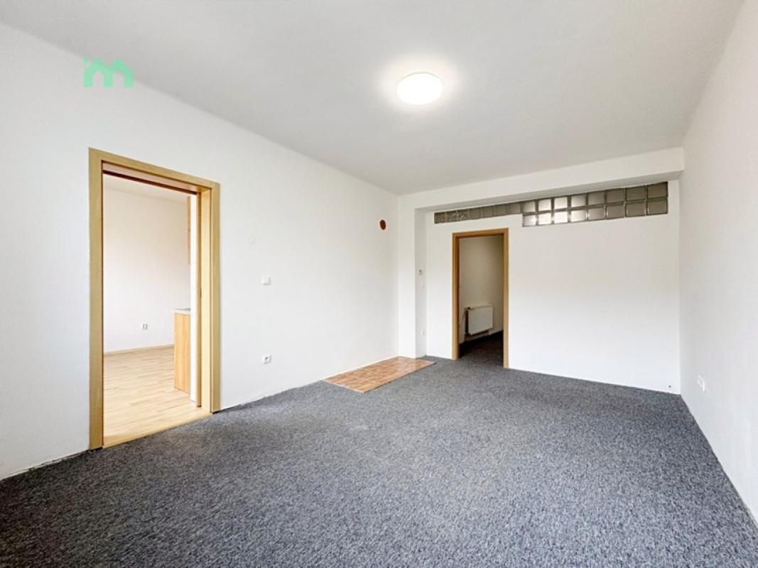 Pronájem bytu 2+1 60 m² — fotografie 15