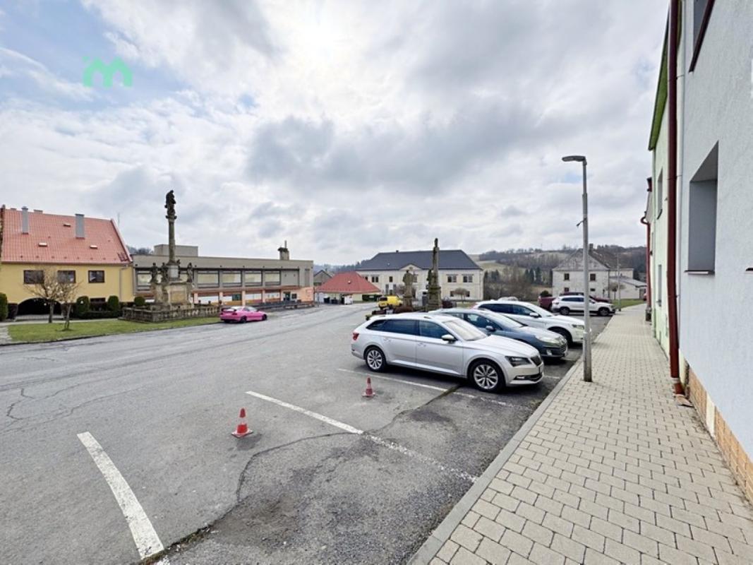 Pronájem bytu 2+1 60 m² — fotografie 37