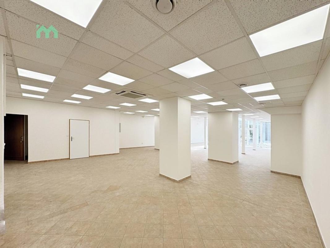 Pronájem obchodního prostoru 250 m² — fotografie 9