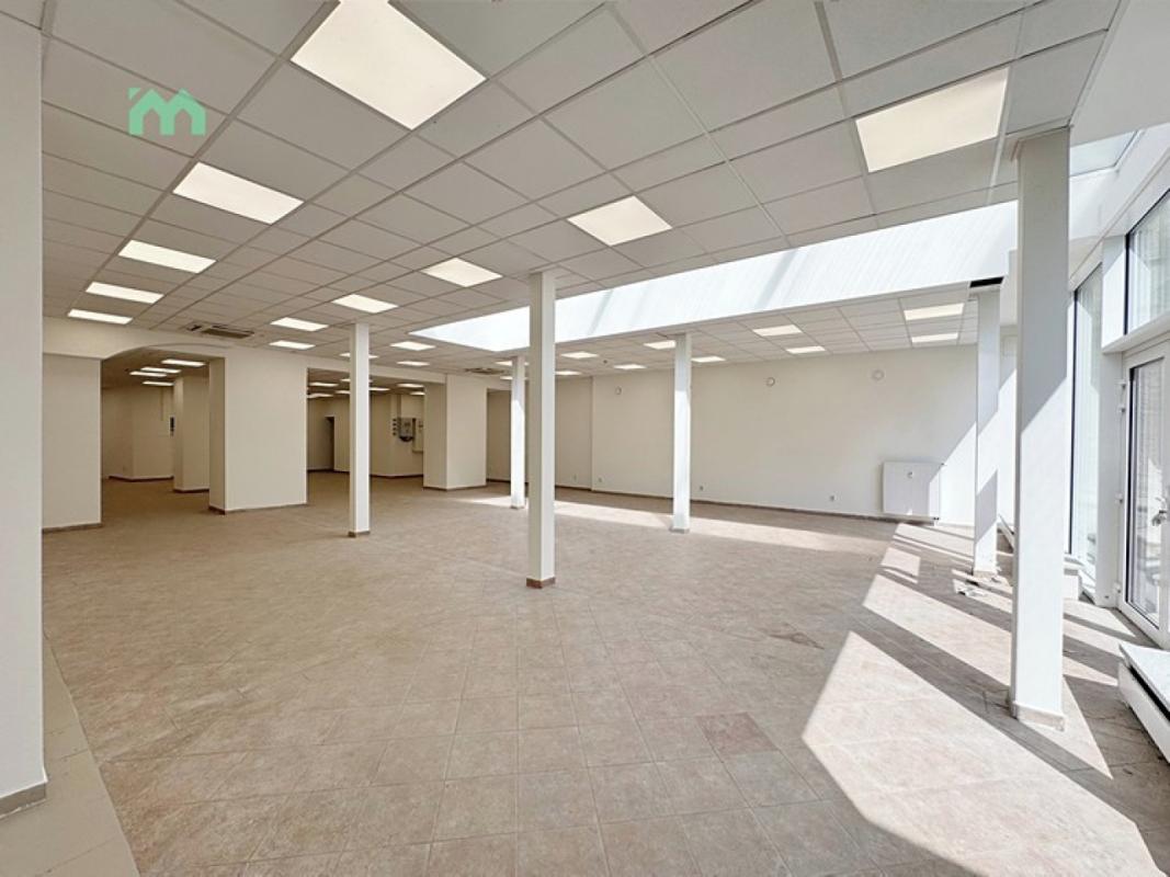 Pronájem obchodního prostoru 250 m² — fotografie 12