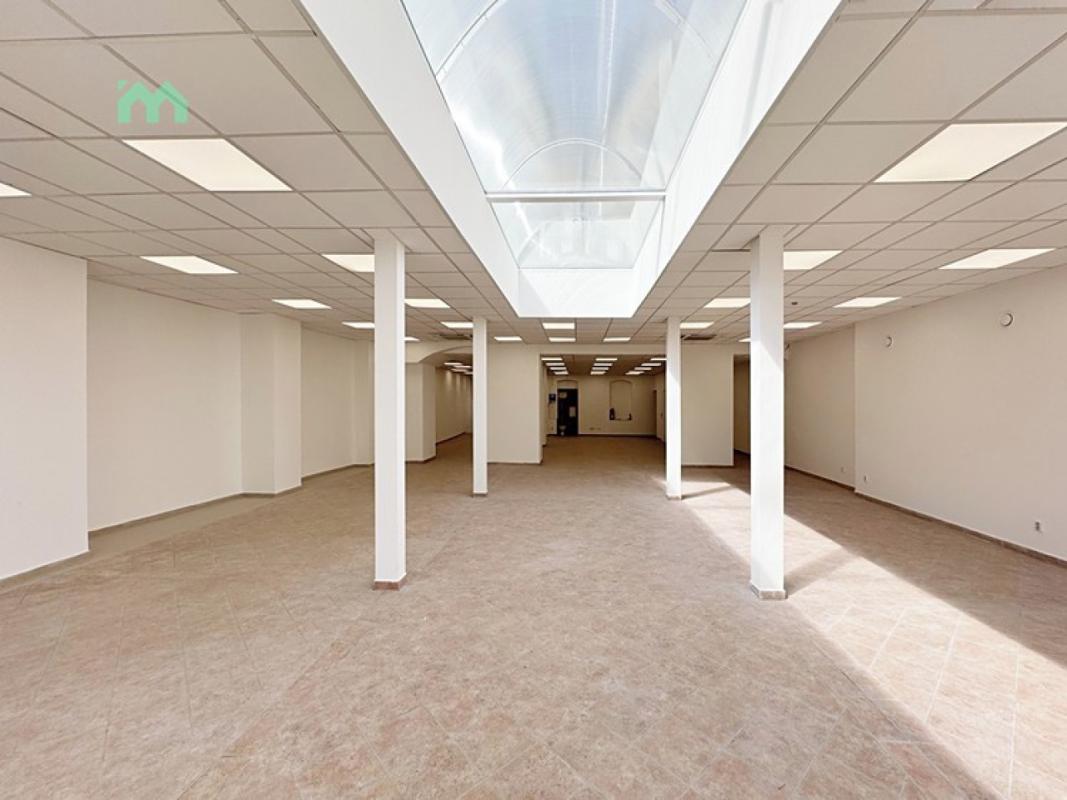 Pronájem obchodního prostoru 250 m² — fotografie 13