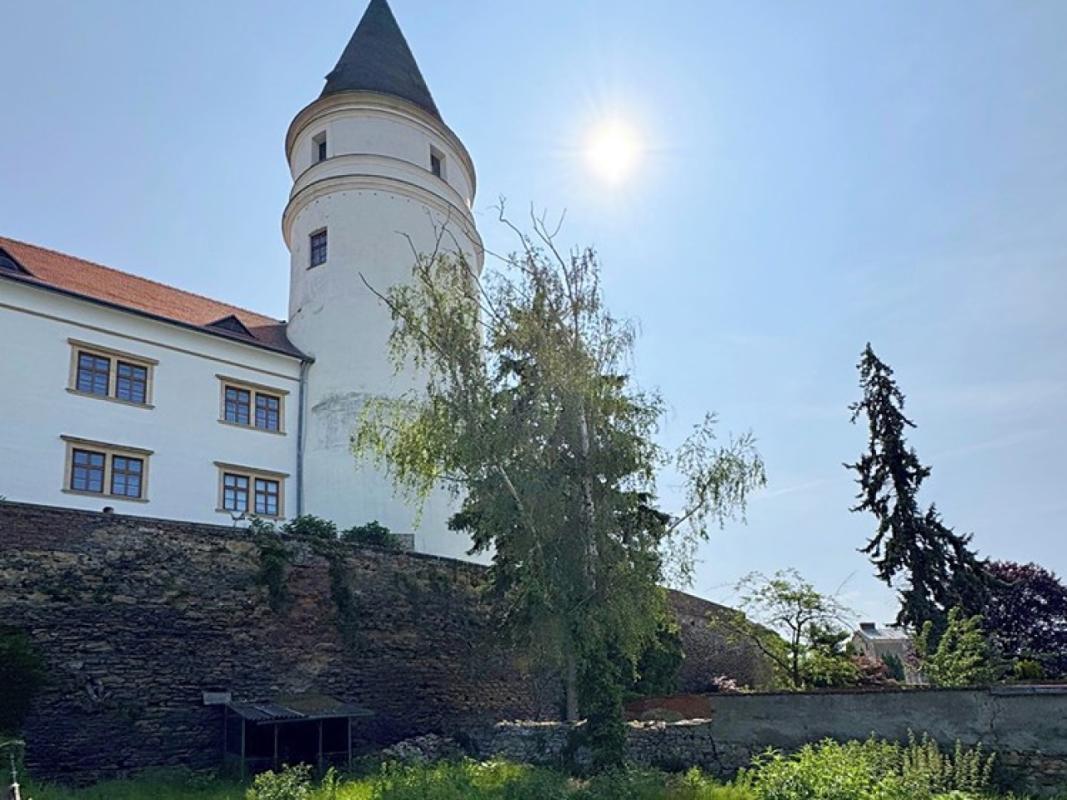Pronájem obchodního prostoru 250 m² — fotografie 23