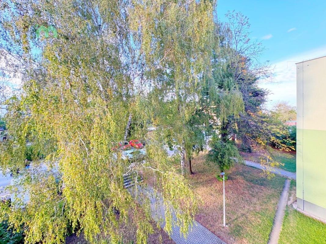 Pronájem bytu 3+1 72 m² — fotografie 11