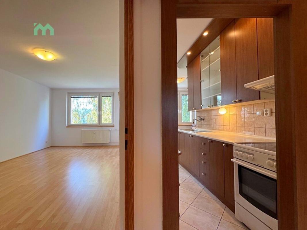 Pronájem bytu 3+1 72 m² — fotografie 13